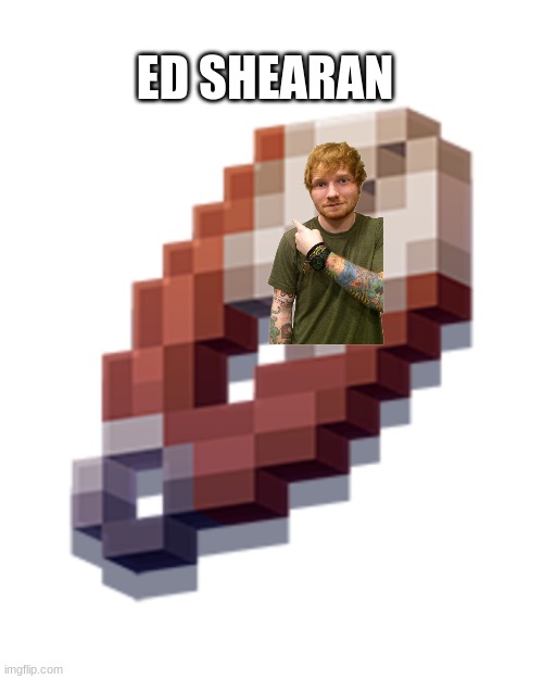 Ed Shearan or something never heard of him | ED SHEARAN | image tagged in meme,ed sheeran,minecraft | made w/ Imgflip meme maker