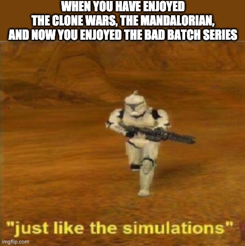 Just like the simulations | WHEN YOU HAVE ENJOYED THE CLONE WARS, THE MANDALORIAN,
AND NOW YOU ENJOYED THE BAD BATCH SERIES | image tagged in just like the simulations,the bad batch | made w/ Imgflip meme maker