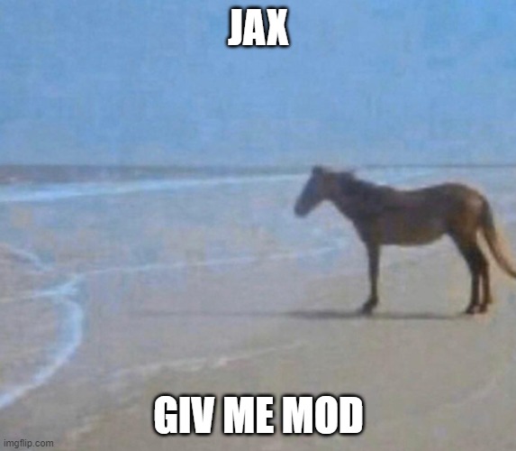 hhtdjhgjf | JAX; GIV ME MOD | image tagged in brace yourselves x is coming | made w/ Imgflip meme maker