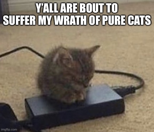 Y’ALL ARE BOUT TO SUFFER MY WRATH OF PURE CATS | made w/ Imgflip meme maker