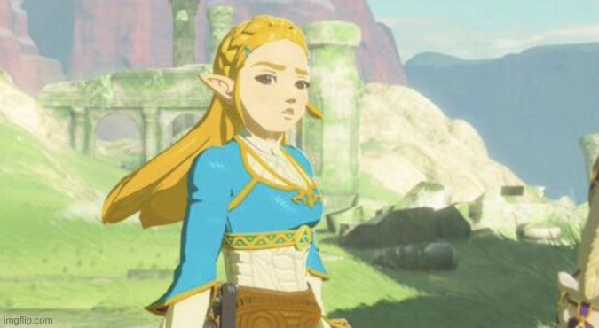 template | image tagged in judging zelda | made w/ Imgflip meme maker
