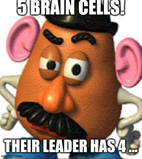 Mr Eggplant Head | 5 BRAIN CELLS! THEIR LEADER HAS 4 ... | image tagged in mr eggplant head | made w/ Imgflip meme maker