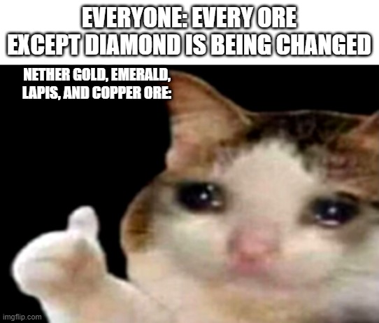 don't forget that nether gold, emerald, copper, and lapis ore aren't being changed | EVERYONE: EVERY ORE EXCEPT DIAMOND IS BEING CHANGED; NETHER GOLD, EMERALD, LAPIS, AND COPPER ORE: | image tagged in sad cat thumbs up | made w/ Imgflip meme maker