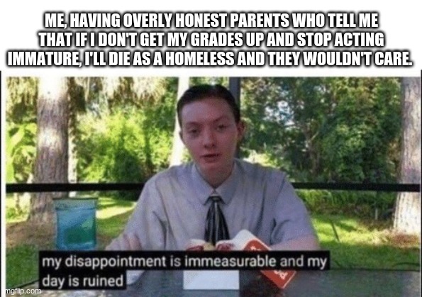 Overly Honest Parents upset at my one B- | ME, HAVING OVERLY HONEST PARENTS WHO TELL ME THAT IF I DON'T GET MY GRADES UP AND STOP ACTING IMMATURE, I'LL DIE AS A HOMELESS AND THEY WOULDN'T CARE. | image tagged in my dissapointment is immeasurable and my day is ruined | made w/ Imgflip meme maker