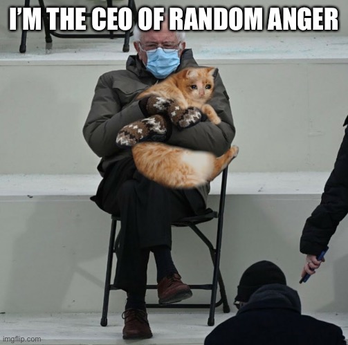 I’M THE CEO OF RANDOM ANGER | made w/ Imgflip meme maker