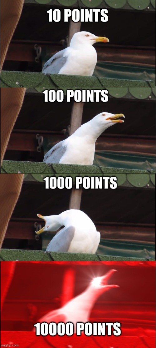 bois....we did it | 10 POINTS; 100 POINTS; 1000 POINTS; 10000 POINTS | image tagged in memes,inhaling seagull | made w/ Imgflip meme maker