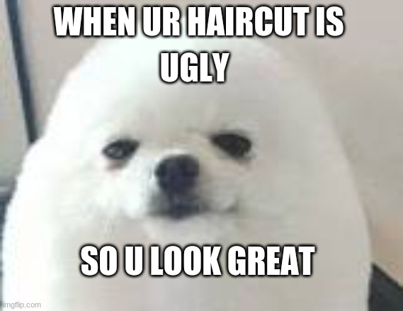 my first meme | WHEN UR HAIRCUT IS; UGLY; SO U LOOK GREAT | image tagged in hehe boi | made w/ Imgflip meme maker