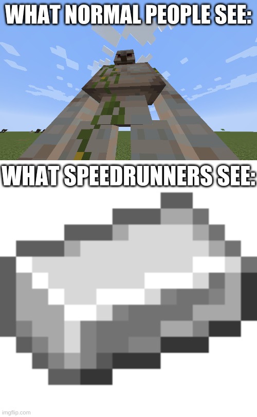 yes | WHAT NORMAL PEOPLE SEE:; WHAT SPEEDRUNNERS SEE: | image tagged in memes,funny,minecraft,iron | made w/ Imgflip meme maker