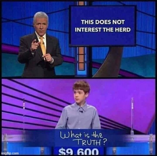 image tagged in stolen memes,memes,funny,jeopardy,repost | made w/ Imgflip meme maker