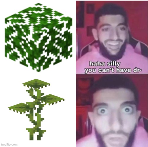 drip | image tagged in drip,minecraft memes,minecraft,minecraft meme | made w/ Imgflip meme maker