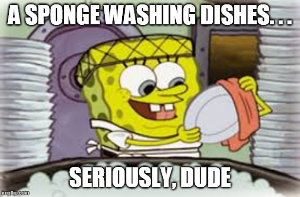 WAT DA ...K |  A SPONGE WASHING DISHES. . . SERIOUSLY, DUDE | image tagged in spongebob | made w/ Imgflip meme maker