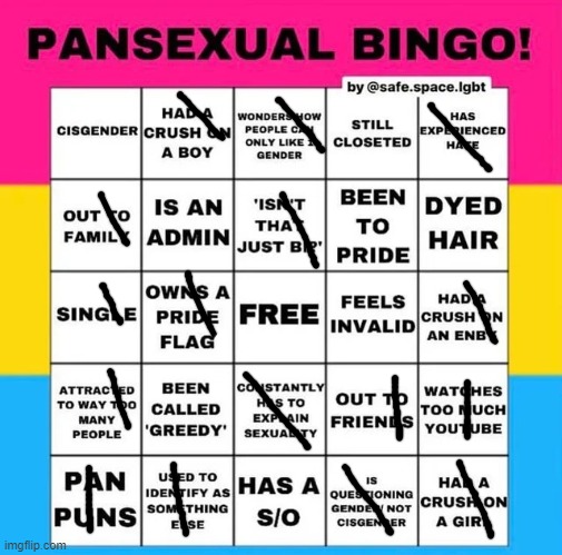 i am no binary pansexual, considering transitioning, i had 6 crushes at once at one point, and i own a non binary pansexual prid | image tagged in pansexual bingo,lgbt,lgbtq | made w/ Imgflip meme maker