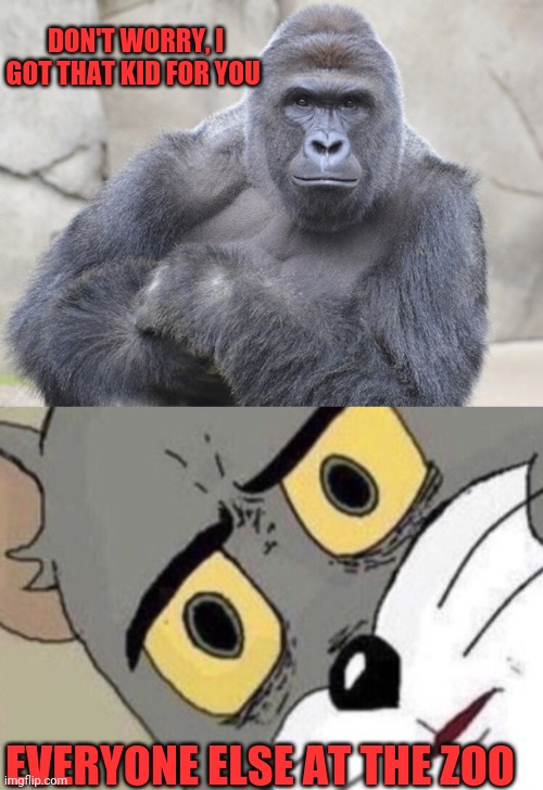 DON'T WORRY, I GOT THAT KID FOR YOU; EVERYONE ELSE AT THE ZOO | image tagged in harambe,me everyone else | made w/ Imgflip meme maker