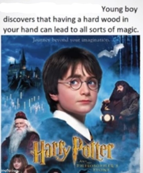 image tagged in memes,funny,harry potter,pot | made w/ Imgflip meme maker