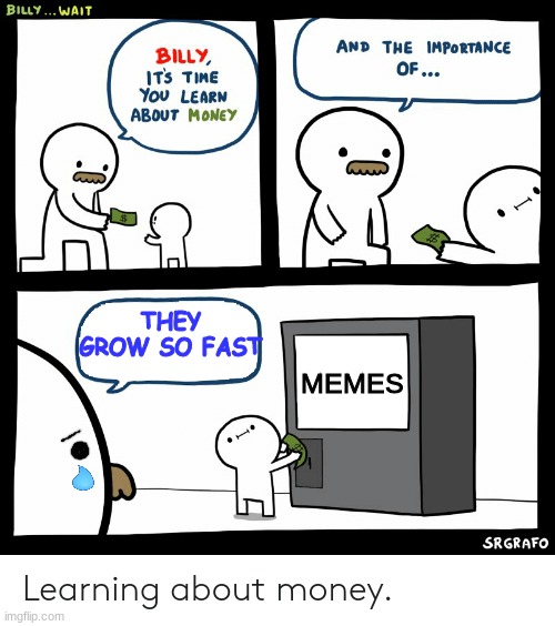 Billy Learning About Money | THEY GROW SO FAST; MEMES | image tagged in billy learning about money | made w/ Imgflip meme maker