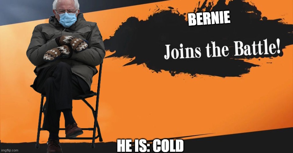 Smash Bros. | BERNIE; HE IS: COLD | image tagged in smash bros | made w/ Imgflip meme maker