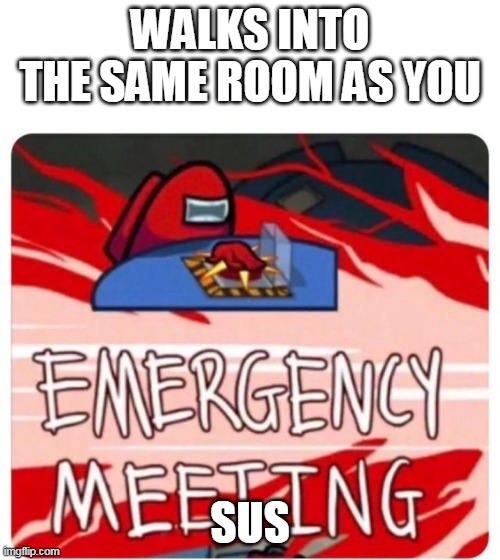 Emergency Meeting Among Us | WALKS INTO THE SAME ROOM AS YOU; SUS | image tagged in emergency meeting among us | made w/ Imgflip meme maker