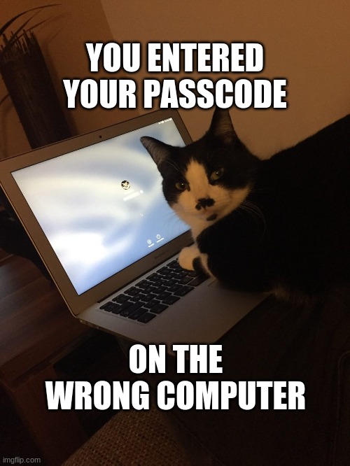 Cat forgot password | YOU ENTERED YOUR PASSCODE; ON THE WRONG COMPUTER | image tagged in cat forgot password | made w/ Imgflip meme maker