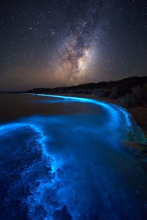 Luminescent | image tagged in awesome,pics,photography | made w/ Imgflip meme maker