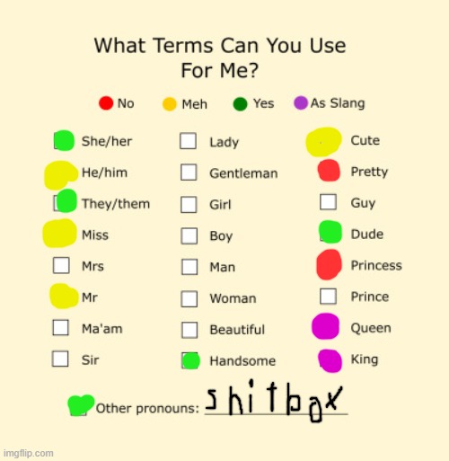 All i feel like doing. also "shitbox" is a asking alexandria reference thingy | image tagged in pronouns sheet,lgbtq,lgbt | made w/ Imgflip meme maker