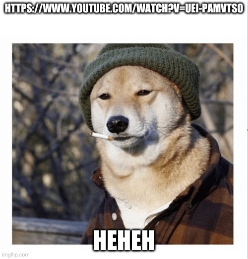 https://www.youtube.com/watch?v=UeI-pamvtso | HTTPS://WWW.YOUTUBE.COM/WATCH?V=UEI-PAMVTSO; HEHEH | image tagged in cigarette doge | made w/ Imgflip meme maker