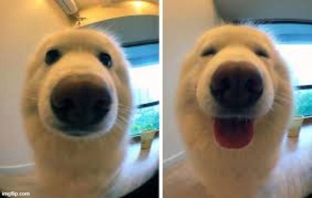 awwwwwwwwwwwwwwww | made w/ Imgflip meme maker