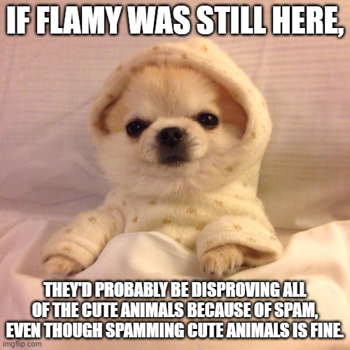 Considering what happened earlier today with the demotivational | IF FLAMY WAS STILL HERE, THEY'D PROBABLY BE DISPROVING ALL OF THE CUTE ANIMALS BECAUSE OF SPAM, EVEN THOUGH SPAMMING CUTE ANIMALS IS FINE. | image tagged in sleep tight pupper | made w/ Imgflip meme maker