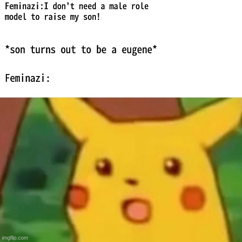 Surprised Pikachu Meme | Feminazi:I don't need a male role
model to raise my son! *son turns out to be a eugene*; Feminazi: | image tagged in memes,surprised pikachu | made w/ Imgflip meme maker
