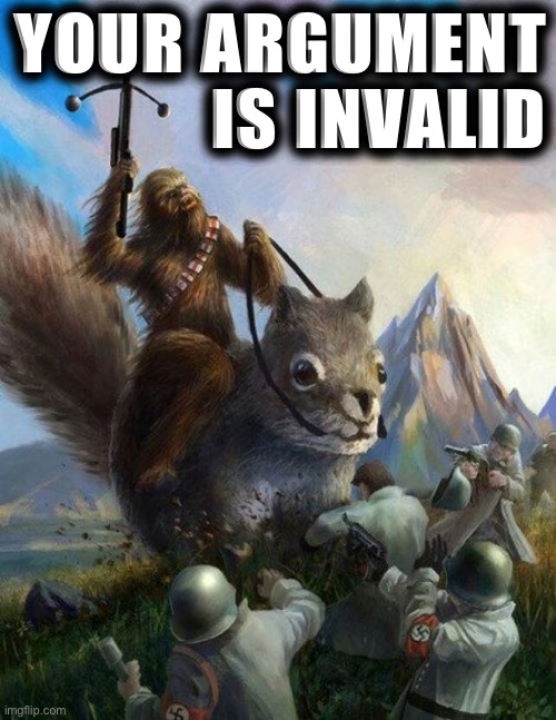 When their argument is this | YOUR ARGUMENT IS INVALID | image tagged in wookie riding a squirrel killing nazis your argument is invalid | made w/ Imgflip meme maker