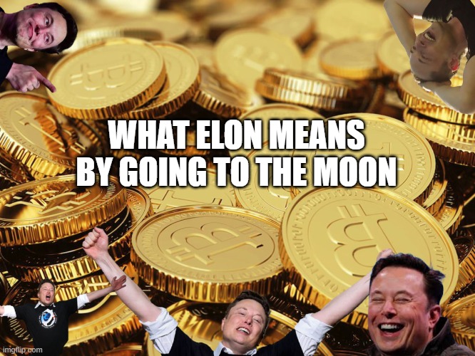 Elon to the moon | WHAT ELON MEANS BY GOING TO THE MOON | image tagged in bitcoin,elon musk,funny | made w/ Imgflip meme maker