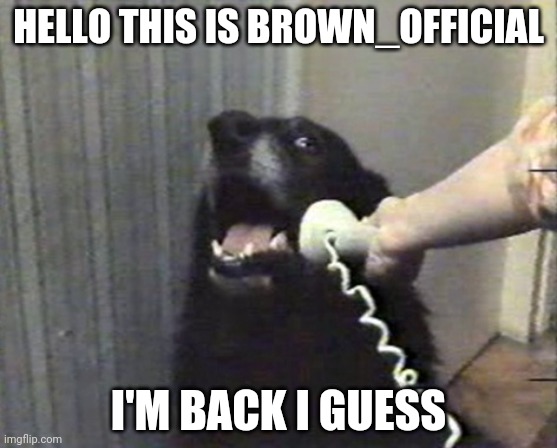 Hey | HELLO THIS IS BROWN_OFFICIAL; I'M BACK I GUESS | image tagged in hello this is dog,d,o,gg,0 | made w/ Imgflip meme maker