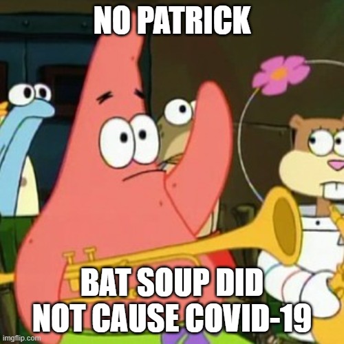 Bat soup did NOT cause COVID-19. | NO PATRICK; BAT SOUP DID NOT CAUSE COVID-19 | image tagged in memes,no patrick,coronavirus,bats,funny,stop reading the tags | made w/ Imgflip meme maker