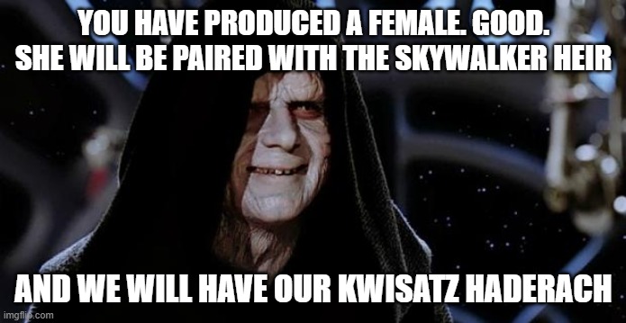 Wrong Franchise | YOU HAVE PRODUCED A FEMALE. GOOD. SHE WILL BE PAIRED WITH THE SKYWALKER HEIR; AND WE WILL HAVE OUR KWISATZ HADERACH | image tagged in emperor palpatine,kwisatz haderach,star wars,dune | made w/ Imgflip meme maker