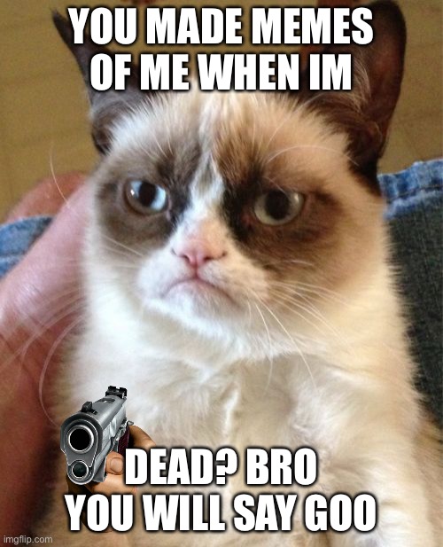 Grumpy Cat | YOU MADE MEMES OF ME WHEN IM; DEAD? BRO YOU WILL SAY GOODBYE | image tagged in memes,grumpy cat | made w/ Imgflip meme maker