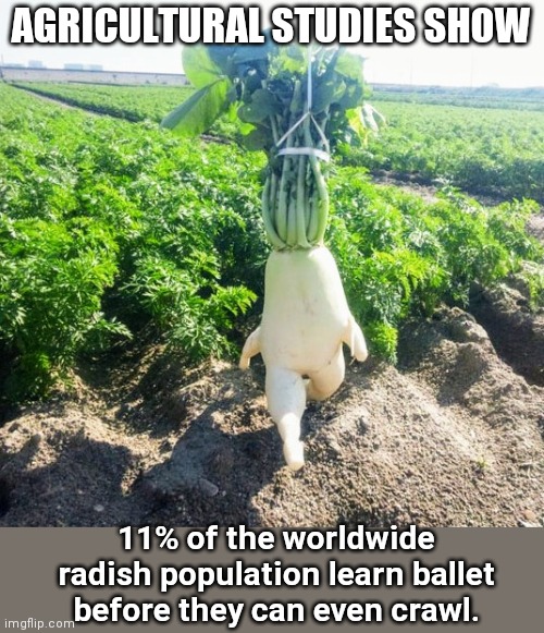 The Fascinating World of Vegetables | AGRICULTURAL STUDIES SHOW; 11% of the worldwide radish population learn ballet before they can even crawl. | image tagged in leggy radish,the fascinating world of vegetables,vegetables,humor | made w/ Imgflip meme maker