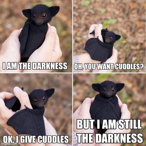 I am the darkness cuddles | image tagged in i am the darkness cuddles,cute,wholesome | made w/ Imgflip meme maker