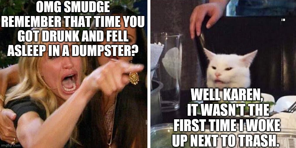 Smudge the cat | OMG SMUDGE REMEMBER THAT TIME YOU GOT DRUNK AND FELL ASLEEP IN A DUMPSTER? J M; WELL KAREN,  IT WASN'T THE FIRST TIME I WOKE UP NEXT TO TRASH. | image tagged in smudge the cat | made w/ Imgflip meme maker