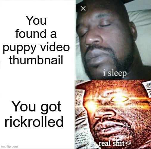 Sleeping Shaq Meme | You found a puppy video thumbnail; You got rickrolled | image tagged in memes,sleeping shaq,youtube,rickroll | made w/ Imgflip meme maker