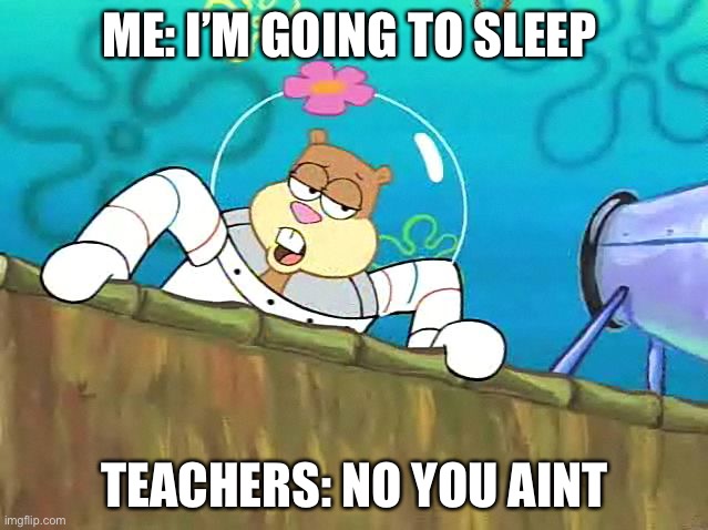 School memes | ME: I’M GOING TO SLEEP; TEACHERS: NO YOU AIN’T | image tagged in no you aint | made w/ Imgflip meme maker