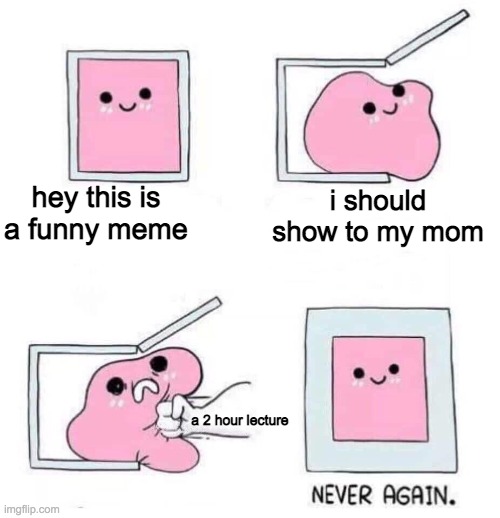 NEVER A FKIN GAIN | hey this is a funny meme; i should show to my mom; a 2 hour lecture | image tagged in never again,memes | made w/ Imgflip meme maker