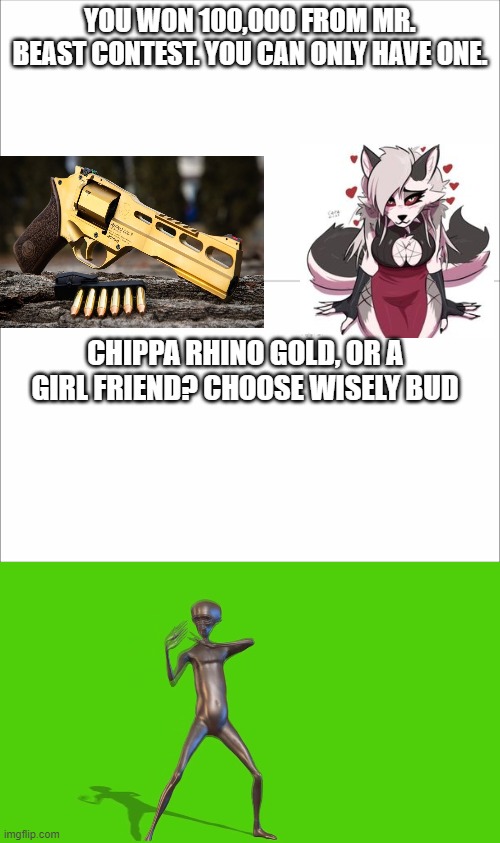 OOF | YOU WON 100,000 FROM MR. BEAST CONTEST. YOU CAN ONLY HAVE ONE. CHIPPA RHINO GOLD, OR A GIRL FRIEND? CHOOSE WISELY BUD | image tagged in would you rather,memes,guns | made w/ Imgflip meme maker