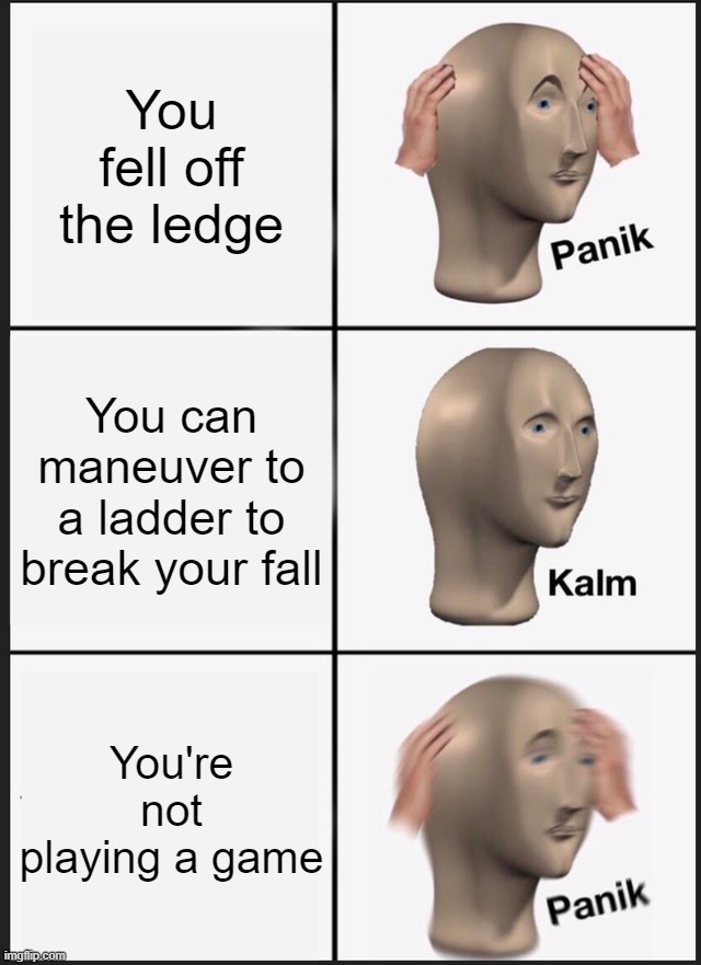 Panik Kalm Panik Meme | You fell off the ledge; You can maneuver to a ladder to break your fall; You're not playing a game | image tagged in memes,panik kalm panik | made w/ Imgflip meme maker