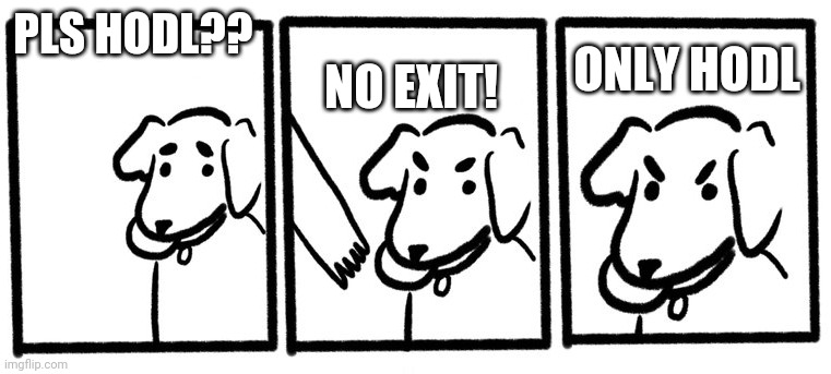 No Take, Only Throw | PLS HODL?? NO EXIT! ONLY HODL | image tagged in no take only throw | made w/ Imgflip meme maker