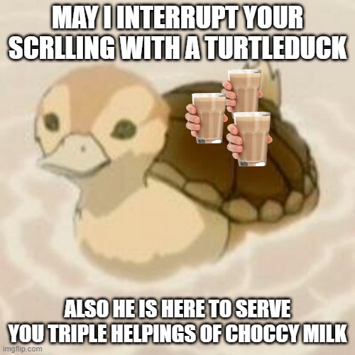 May I Interrupt Your scrolling with a turtleduck? | MAY I INTERRUPT YOUR SCRLLING WITH A TURTLEDUCK; ALSO HE IS HERE TO SERVE YOU TRIPLE HELPINGS OF CHOCCY MILK | image tagged in happy baby turtle | made w/ Imgflip meme maker