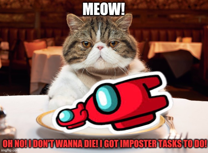 Cat's dinner looks pretty sus! | MEOW! OH NO! I DON'T WANNA DIE! I GOT IMPOSTER TASKS TO DO! | image tagged in sus,among us,fat cat,nomnomnom | made w/ Imgflip meme maker