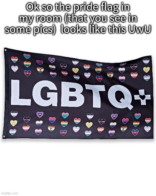 Ok so the pride flag in my room (that you see in some pics)  looks like this UwU | made w/ Imgflip meme maker