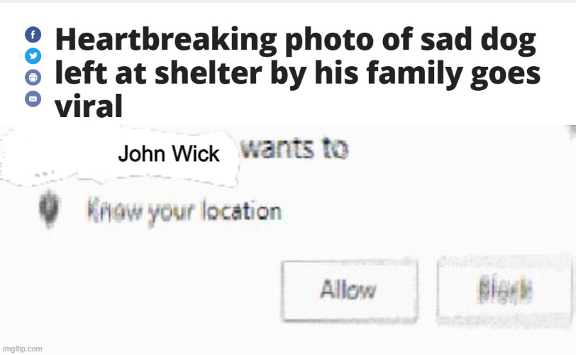 why the hell are the lights blu- | John Wick | image tagged in x wants to know your location,john wick,dogs,memes,funny,gifs | made w/ Imgflip meme maker