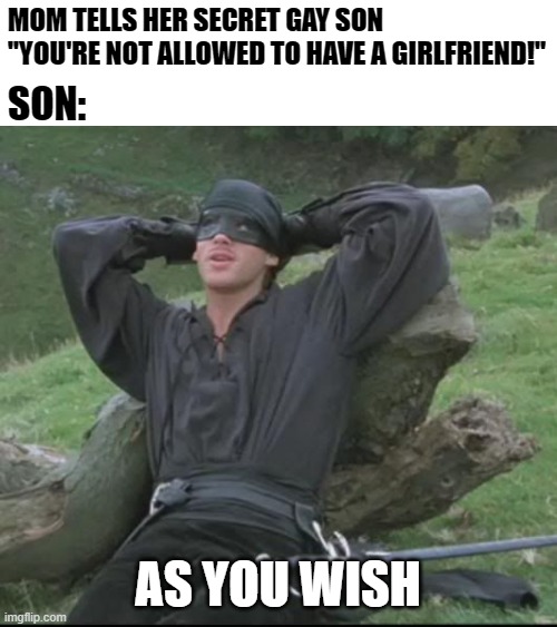 Your wish is my command (¬‿¬) | MOM TELLS HER SECRET GAY SON "YOU'RE NOT ALLOWED TO HAVE A GIRLFRIEND!"; SON:; AS YOU WISH | image tagged in as you wish,gay,parents,backfired,lgbt | made w/ Imgflip meme maker