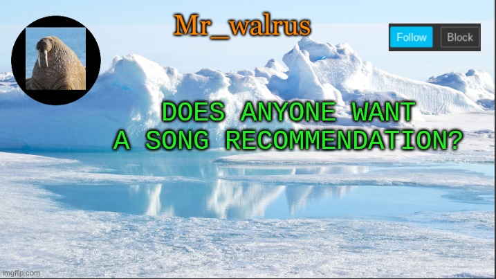 tell me in comments | DOES ANYONE WANT A SONG RECOMMENDATION? | image tagged in mr_walrus | made w/ Imgflip meme maker