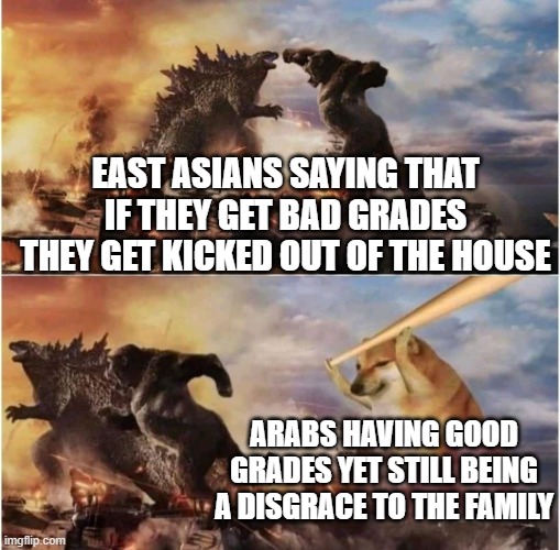 sadly, its true |  EAST ASIANS SAYING THAT IF THEY GET BAD GRADES THEY GET KICKED OUT OF THE HOUSE; ARABS HAVING GOOD GRADES YET STILL BEING A DISGRACE TO THE FAMILY | image tagged in kong godzilla doge,arab,school,but why tho | made w/ Imgflip meme maker